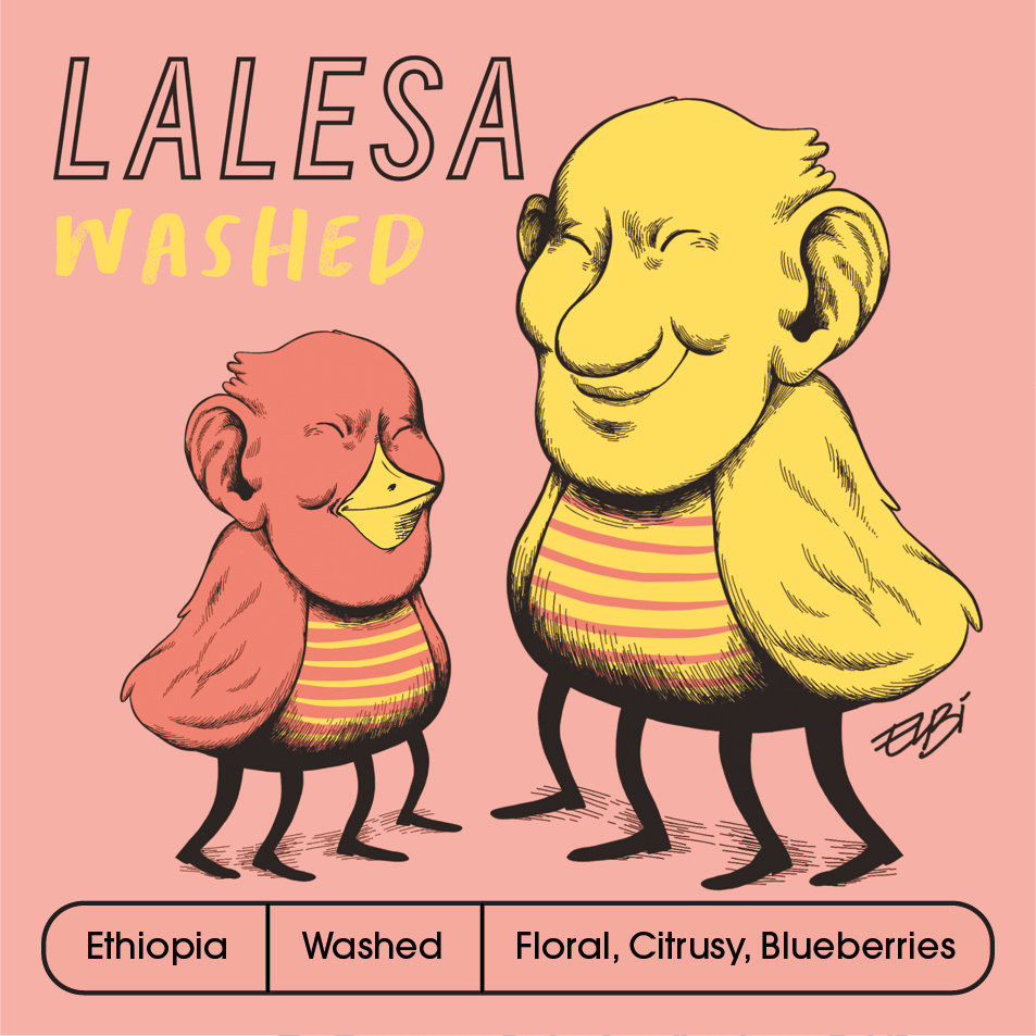 MOKLAIR2025-card-Socialmedia_LALESAWASHED